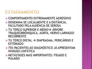  COMPORTAMENTO EXTREMAMENTE AGRESSIVO
 DISSEMINA-SE LOCALMENTE E A DISTÂNCIA,
FACILITADO PELA AUSÊNCIA DE SEROSA
 TU TERÇO SUPERIOR E MÉDIO ÁRVORE
TRAQUEOBRÔNQUICA, AORTA, NERVO LARINGEO
RECORRENTE
 TU TERÇO DISTAL  DIAFRAGMA, PERICÁRDIO E
ESTÔMAGO
 75% PACIENTES AO DIAGNÓSTICO JÁ APRESENTAM
INVASÃO LINFÁTICA
 METÁSTASES MAIS IMPORTANTES: FÍGADO E
PULMÃO
 