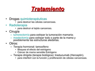 Tratamiento Drogas  quimioterapéuticas   para destruir las células cancerosas.  Radioterapia   para destruir el tejido canceroso.  Cirugía  tumorectomía  para extirpar la tumoración mamaria;  mastectomía   para extirpar todo o parte de la mama y posiblemente las estructuras aledañas.  Otros:  Terapia hormonal: tamoxifeno Bloquea el efecto del estrógeno Cáncer de mama sensible Estrógeno Terapia dirigida (terapia biológica): trastuzumab (Herceptin).  para interferir con la función y proliferación de células cancerosas.  