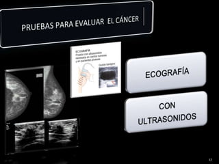 PRUEBAS PARA EVALUAR EL CÁNCER17