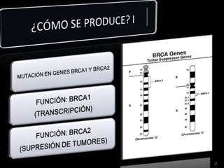 ¿CÓMO SE PRODUCE? I 7