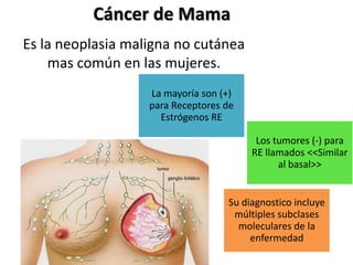 Cáncer de Mama
Es la neoplasia maligna no cutánea
    mas común en las mujeres.
                   La mayoría son (+)
                   para Receptores de
                     Estrógenos RE

                                         Los tumores (-) para
                                        RE llamados <<Similar
                                              al basal>>


                                   Su diagnostico incluye
                                    múltiples subclases
                                     moleculares de la
                                        enfermedad
 