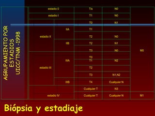 estadio 0 Tis N0
estadio I T1 N0
T0 N1
IIA T1
estadio II T2 N0
IIB T2 N1
T3 N0 M0
T0
IIIA T1 N2
estadio III T2
T3 N1,N2
IIIB T4 Cualquier N
Cualquier T N3
estadio IV Cualquier T Cualquier N M1
AGRUPAMIENTOPOR
ESTADIOS
UICC/TNM-1998
Biópsia y estadiaje
 