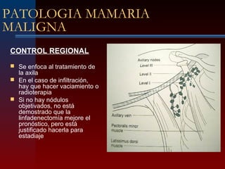 PATOLOGIA MAMARIA
MALIGNA
CONTROL REGIONAL
 Se enfoca al tratamiento de
la axila
 En el caso de infiltración,
hay que hacer vaciamiento o
radioterapia
 Si no hay nódulos
objetivados, no está
demostrado que la
linfadenectomía mejore el
pronóstico, pero está
justificado hacerla para
estadiaje
 
