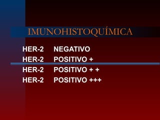 IMUNOHISTOQUÍMICA
HER-2 NEGATIVO
HER-2 POSITIVO +
HER-2 POSITIVO + +
HER-2 POSITIVO +++
 