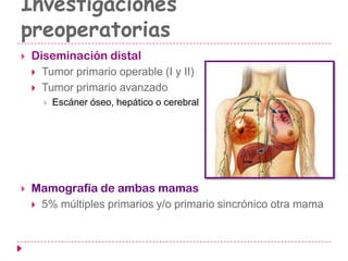 Investigaciones
preoperatorias
 Diseminación distal
 Tumor primario operable (I y II)
 Tumor primario avanzado
 Escáner óseo, hepático o cerebral
 Mamografía de ambas mamas
 5% múltiples primarios y/o primario sincrónico otra mama
 