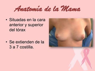 Anatomía de la Mama
• Situadas en la cara
anterior y superior
del tórax
• Se extienden de la
3 a 7 costilla.
 