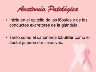 Anatomía Patológica
• Inicia en el epitelio de los lóbulos y de los
conductos excretores de la glándula.
• Tanto como el carcinoma lobulillar como el
ductal pueden ser invasivos.
 