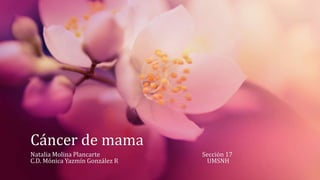 Cáncer de mama
Natalia Molina Plancarte Sección 17
C.D. Mónica Yazmín González R UMSNH
 