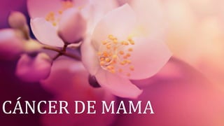 CÁNCER DE MAMA
 