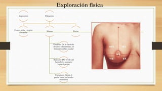 Exploración física
Inspección Palpación:
Hueco axilar y región
clavicular
Mamas
Paralelas: De la clavícula
al surco submamario, en
dirección céfalo-caudal
Radiadas: Del borde del
hemisferio mamario
hasta el pezón
Circulares: Desde el
pezón hasta los bordes
mamarios
Pezón
 