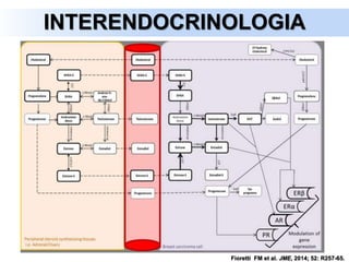 INTERENDOCRINOLOGIA
Fioretti FM et al. JME, 2014; 52: R257-65.
 