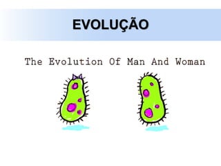 EVOLUÇÃO
 