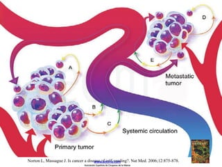 Norton L, Massague J. Is cancer a disease of self-seeding?. Nat Med. 2006;12:875-878.www.aecima.com
Asociación Española de Cirujanos de la Mama
 