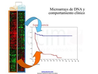 Supervivencia
Microarrays de DNA y
comportamiento clínico
www.aecima.com
Asociación Española de Cirujanos de la Mama
 
