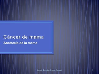Anatomía de la mama 
Lomeli González Brenda Escarlet 1 
 