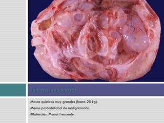 Masas quísticas muy grandes (hasta 25 kg).
Menos probabilidad de malignización.
Bilaterales: Menos frecuente.
Tumores mucinosos
 