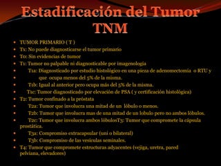 Estadificación del Tumor TNMTUMOR PRIMARIO ( T )Tx: No puede diagnosticarse el tumor primarioT0: Sin evidencias de tumorT1: Tumor no palpable ni diagnosticable por imagenología       T1a: Diagnosticado por estudio histológico en una pieza de adenomectomía  o RTU y                que  ocupa menos del 5% de la misma.       T1b: Igual al anterior pero ocupa más del 5% de la misma.      T1c: Tumor diagnosticado por elevación de PSA ( y certificación histológica)T2: Tumor confinado a la próstata       T2a: Tumor que involucra una mitad de un  lóbulo o menos.       T2b: Tumor que involucra mas de una mitad de un lobulo pero no ambos lóbulos.       T2c: Tumor que involucra ambos lóbulosT3: Tumor que compromete la cápsula prostática.       T3a: Compromiso extracapsular (uni o bilateral)       T3b: Compromiso de las vesículas seminales.T4: Tumor que compromete estructuras adyacentes (vejiga, uretra, pared pelviana, elevadores)