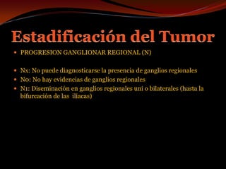 Estadificación del TumorPROGRESION GANGLIONAR REGIONAL (N)Nx: No puede diagnosticarse la presencia de ganglios regionalesN0: No hay evidencias de ganglios regionalesN1: Diseminación en ganglios regionales uni o bilaterales (hasta la bifurcación de las  ilíacas)                                                                                    