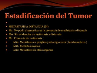 Estadificación del TumorMETASTASIS A DISTANCIA (M)Mx: No pudo diagnosticarse la presencia de metástasis a distanciaM0: Sin evidencias de metástasis a distanciaM1: Presencia de metástasis       M1a: Metástasis en ganglios yuxtaregionales ( lumboaórticos )       M1b: Metástasis óseas.       M1c: Metástasis en otros órganos. 