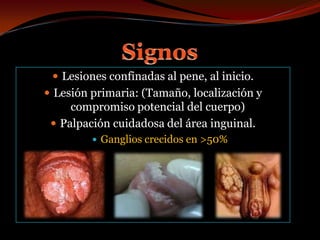 SignosLesiones confinadas al pene, al inicio.Lesión primaria: (Tamaño, localización y compromiso potencial del cuerpo)Palpación cuidadosa del área inguinal.Ganglios crecidos en >50%