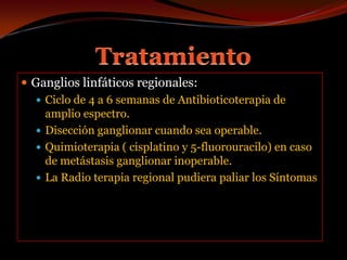 TratamientoGanglios linfáticos regionales:Ciclo de 4 a 6 semanas de Antibioticoterapia de amplio espectro.Disección ganglionar cuando sea operable.Quimioterapia ( cisplatino y 5-fluorouracilo) en caso de metástasis ganglionar inoperable.La Radio terapia regional pudiera paliar los Síntomas