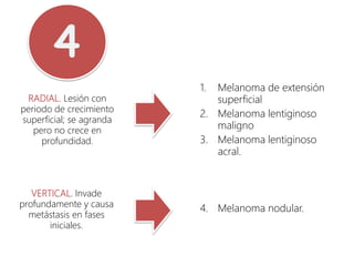 1. Melanoma de extensión
superficial
2. Melanoma lentiginoso
maligno
3. Melanoma lentiginoso
acral.
4. Melanoma nodular.
RADIAL. Lesión con
periodo de crecimiento
superficial; se agranda
pero no crece en
profundidad.
VERTICAL. Invade
profundamente y causa
metástasis en fases
iniciales.
 