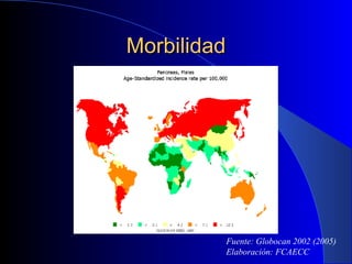 Morbilidad Fuente: Globocan 2002 (2005) Elaboración: FCAECC 
