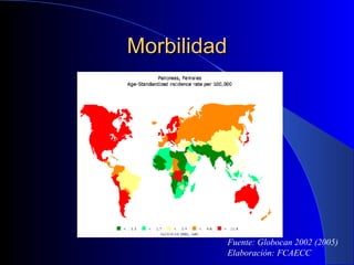 Morbilidad Fuente: Globocan 2002 (2005) Elaboración: FCAECC 