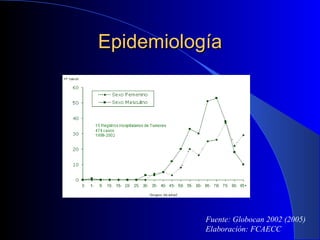 Epidemiología Fuente: Globocan 2002 (2005) Elaboración: FCAECC 