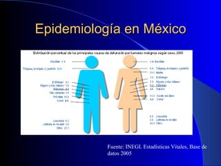 Epidemiología en México Fuente: INEGI. Estadísticas Vitales, Base de datos 2005 