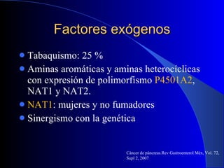Factores exógenos Tabaquismo: 25 % Aminas aromáticas y aminas heterocíclicas con expresión de polimorfismo  P4501A2 , NAT1 y NAT2. NAT1 : mujeres y no fumadores  Sinergismo con la genética Cáncer de páncreas.Rev Gastroenterol Méx, Vol. 72, Supl 2, 2007 