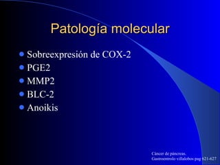 Patología molecular Sobreexpresión de COX-2 PGE2 MMP2 BLC-2 Anoikis  Cáncer de páncreas.  Gastroentrolo villalobos pag 621-627 