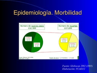 Epidemiología. Morbilidad  Fuente: Globocan 2002 (2005) Elaboración: FCAECC 