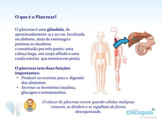 O pâncreas é uma glândula, de
aproximadamente 15 a 20 cm, localizada
no abdome, atrás do estômago e
próximo ao duodeno
e constituído por três partes: uma
cabeça larga, um corpo afilado e uma
cauda estreita que termina em ponta.
O pâncreas tem duas funções
importantes:
• Produzir as enzimas para a digestão
dos alimentos
• Secretar os hormônios insulina,
glucagon e somatostatina.
O que é o Pâncreas?
O câncer de pâncreas ocorre quando células malignas
crescem, se dividem e se espalham de forma
desorganizada.
 