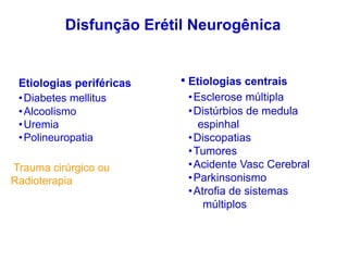 Etiologias periféricas
•Diabetes mellitus
•Alcoolismo
•Uremia
•Polineuropatia
Trauma cirúrgico ou
Radioterapia
• Etiologias centrais
•Esclerose múltipla
•Distúrbios de medula
espinhal
•Discopatias
•Tumores
•Acidente Vasc Cerebral
•Parkinsonismo
•Atrofia de sistemas
múltiplos
Disfunção Erétil Neurogênica
 