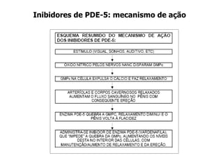 Inibidores de PDE-5: mecanismo de ação
 