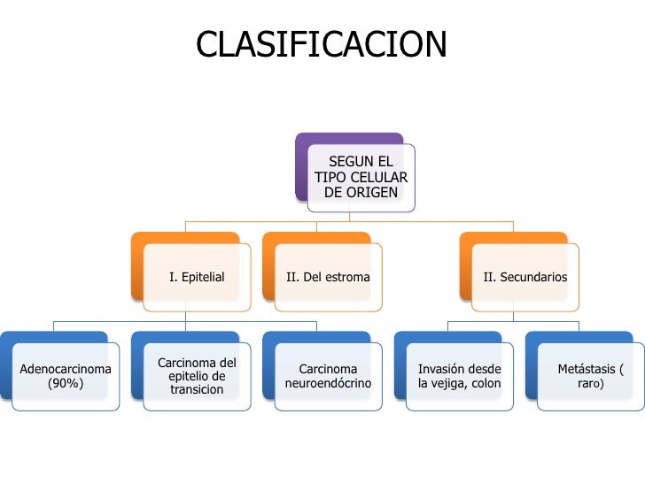 Cancer De Prostata Novembro Azul Ppt Cancer De Prostata