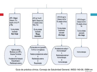 Guía de práctica clínica. Consejo de Salubridad General. IMSS-140-08. ISBN en
 