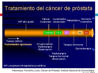 Palomeque, Ferrufino y Lara. Cáncer de Próstata. Instituto Nacional de Cancerología.
 