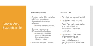 Gradación y
Estadificación
Sistema de Gleason
 Grado 1: mejor diferenciados
glándulas neoplasicas
aspecto uniforme y son
redondas.
 Nódulos bien circunscritos.
 Grado 5: no muestran
diferenciación glandular.
 Las células tumorales
infiltran la estroma en
forma de cordones,
sábanas y nidos.
 8-10 avanzados no curables.
SistemaTNM
 T1: observación incidental.
 T2: confinado a órgano.
 T3a yT3b: extensión extra
prostática. Sin/con
invasión de vesículas
seminales
 T4: invasión directa de
órganos contiguos.
 N0/N1: Hallazgo en
ganglios linfáticos es fatal.
 