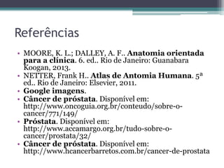Referências 
• MOORE, K. L.; DALLEY, A. F.. Anatomia orientada 
para a clínica. 6. ed.. Rio de Janeiro: Guanabara 
Koogan, 2013. 
• NETTER, Frank H.. Atlas de Antomia Humana. 5ª 
ed.. Rio de Janeiro: Elsevier, 2011. 
• Google imagens. 
• Câncer de próstata. Disponível em: 
http://www.oncoguia.org.br/conteudo/sobre-o-cancer/ 
771/149/ 
• Próstata. Disponível em: 
http://www.accamargo.org.br/tudo-sobre-o-cancer/ 
prostata/32/ 
• Câncer de próstata. Disponível em: 
http://www.hcancerbarretos.com.br/cancer-de-prostata 
