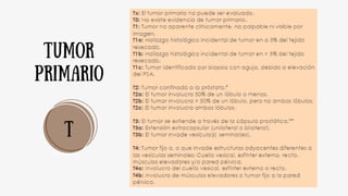 t
tumor
primario
 