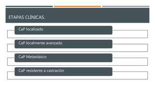 ETAPAS CLÍNICAS.
CaP localizado
CaP localmente avanzado
CaP Metastásico
CaP resistente a castración
 
