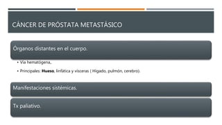 CÁNCER DE PRÓSTATA METASTÁSICO
Órganos distantes en el cuerpo.
• Vía hematógena,.
• Principales: Hueso, linfática y vísceras ( Hígado, pulmón, cerebro).
Manifestaciones sistémicas.
Tx paliativo.
 