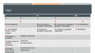 TNM
T N M
C P C P
X X X
0: sin evidencia 0: no invasión a
ganglios regionales
0: no invasión a ganglios
ganglios regionales
0: no Metástasis
1: no evidente
clínica, ni por
imagen
1: Invasión a
ganglios regionales
1: Invasión a ganglios
regionales
1: Metástasis
2: limitado a
próstata
Órgano confinado
3: abarca cápsula
cápsula
prostática
Extensión
extraprostática
4: invade
estructuras
adyacentes
Invade estructuras
adyacentes
 