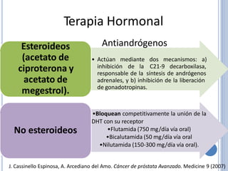 Terapia Hormonal
AntiandrógenosEsteroideos
(acetato de
ciproterona y
acetato de
megestrol).
• Actúan mediante dos mecanismos: a)
inhibición de la C21-9 decarboxilasa,
síntesis de andrógenosresponsable de la
adrenales, y b) inhibición de la liberación
de gonadotropinas.
•Bloquean competitivamente la unión de la
DHT con su receptor
•Flutamida (750 mg/día vía oral)
•Bicalutamida (50 mg/día vía oral
•Nilutamida (150-300 mg/día vía oral).
No esteroideos
J. Cassinello Espinosa, A. Arcediano del Amo. Cáncer de próstata Avanzado. Medicine 9 (2007)
 