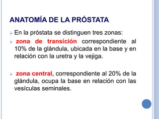 ANATOMÍA DE LA PRÓSTATA
 En la próstata se distinguen tres zonas:
 zona de transición correspondiente al
10% de la glándula, ubicada en la base y en
relación con la uretra y la vejiga.
 zona central, correspondiente al 20% de la
glándula, ocupa la base en relación con las
vesículas seminales.
 