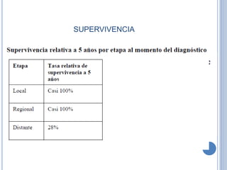 SUPERVIVENCIA
 