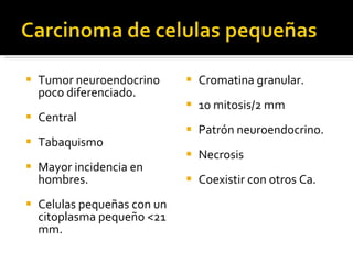 Tumor neuroendocrino poco diferenciado. Central Tabaquismo Mayor incidencia en hombres.  Celulas pequeñas con un citoplasma pequeño <21 mm. Cromatina granular. 10 mitosis/2 mm Patrón neuroendocrino. Necrosis Coexistir con otros Ca. 