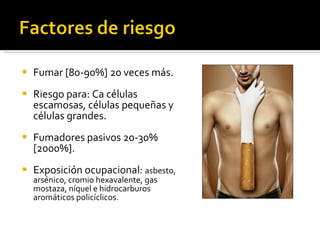Fumar [80-90%] 20 veces más. Riesgo para: Ca células escamosas, células pequeñas y células grandes.  Fumadores pasivos 20-30% [2000%]. Exposición ocupacional:  asbesto, arsénico, cromio hexavalente, gas mostaza, níquel e hidrocarburos aromáticos policíclicos.  